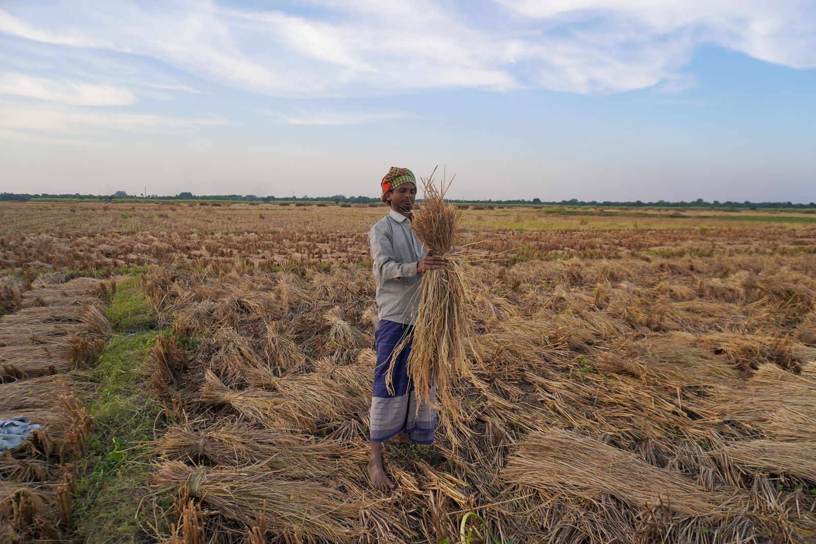 Proud Indian farmer in his field